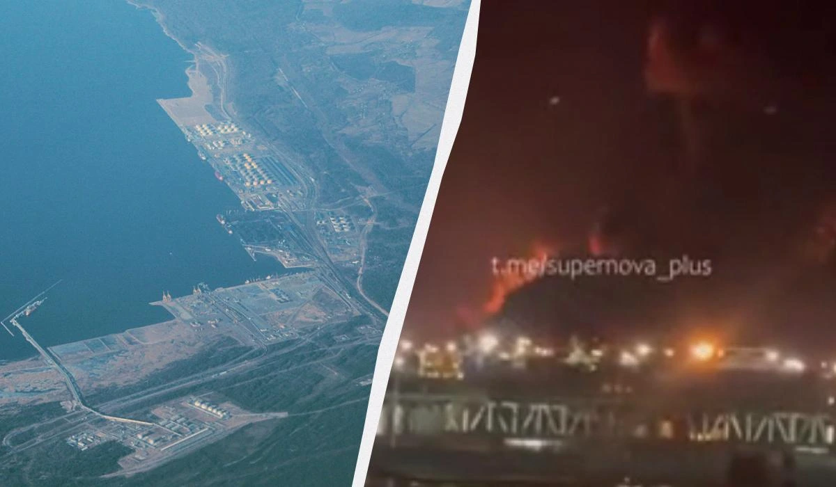 В Естонії впав український дрон, що мав атакувати порт Усть-Луга: чи є загроза цивільним