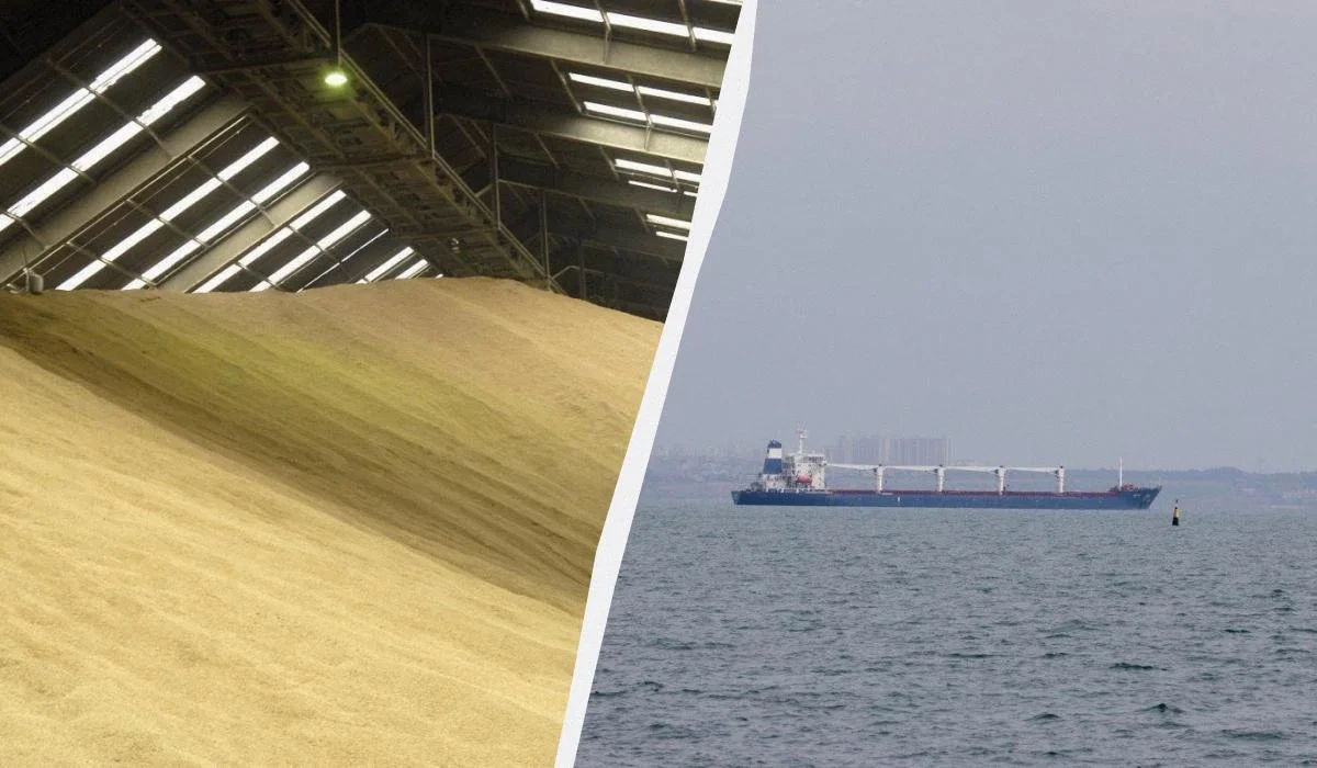 Ізраїльський імпортер відмовився від судна з викраденим українським зерном, – ЗМІ